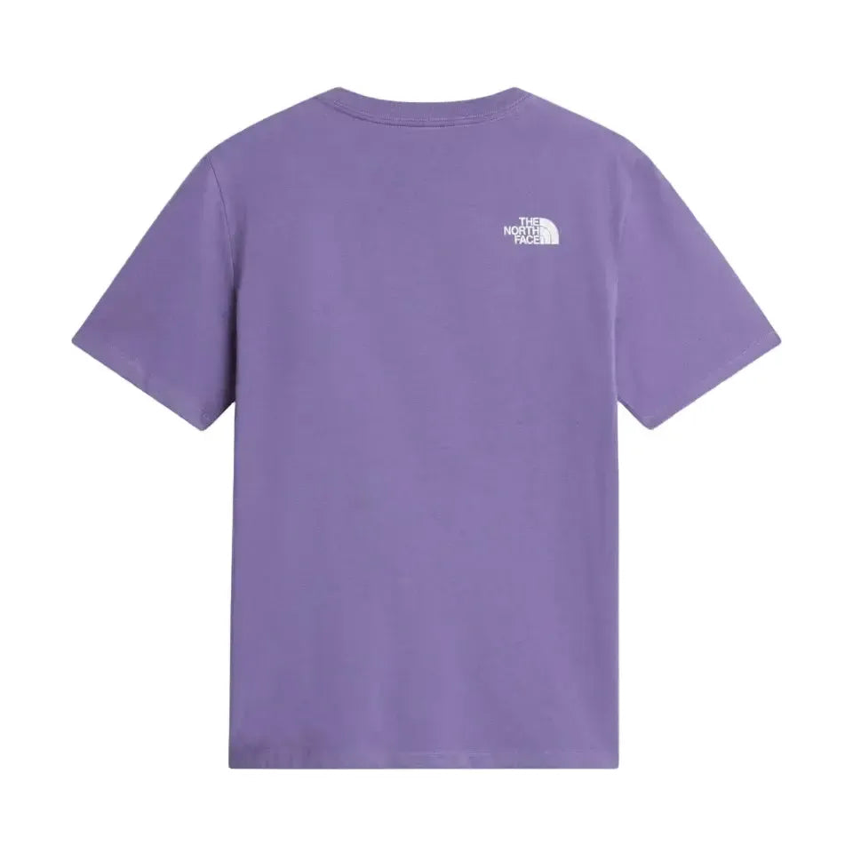 The North Face Ladies Evolution Half Dome Relaxed T-Shirt