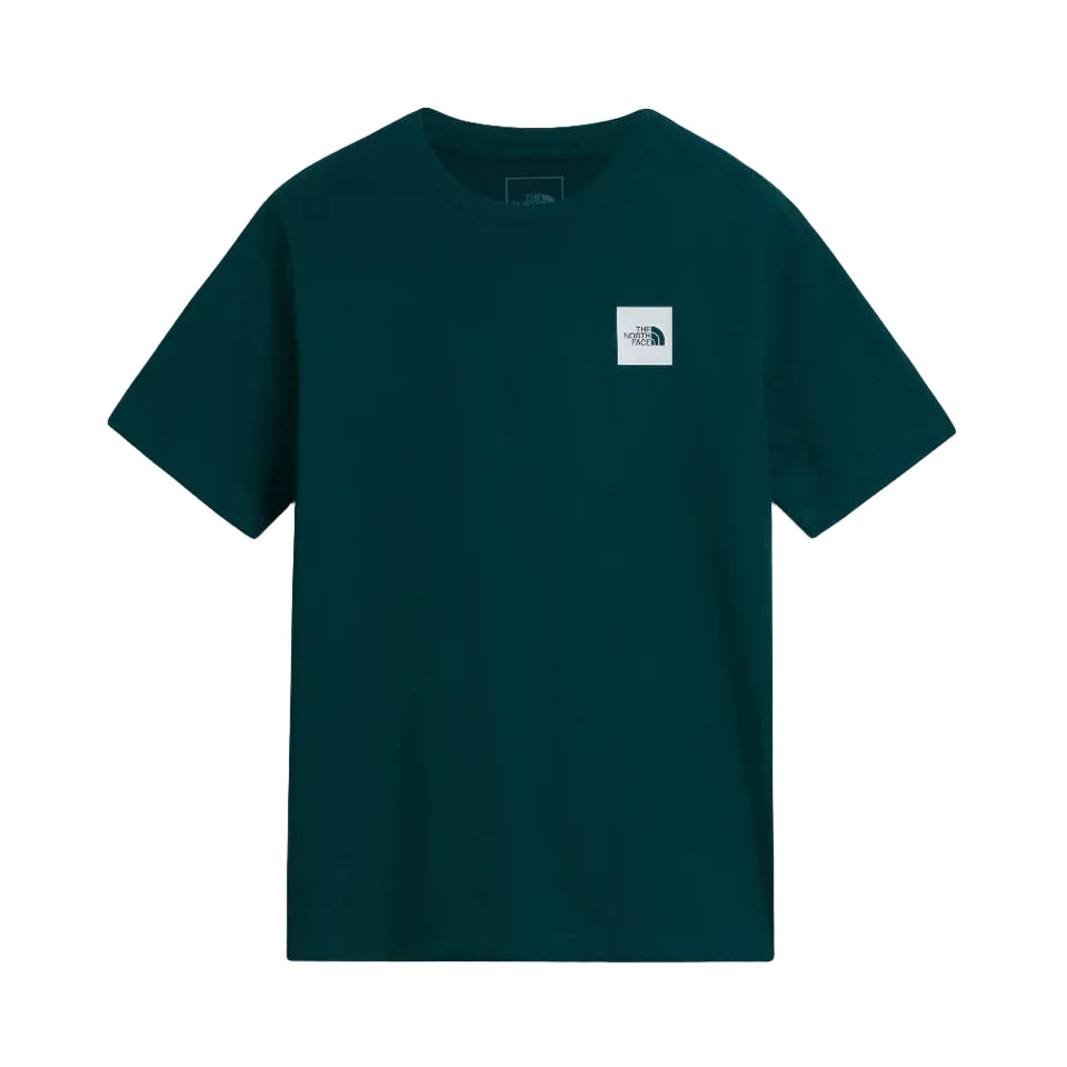 The North Face Evolution Box Half Dome T-Shirt