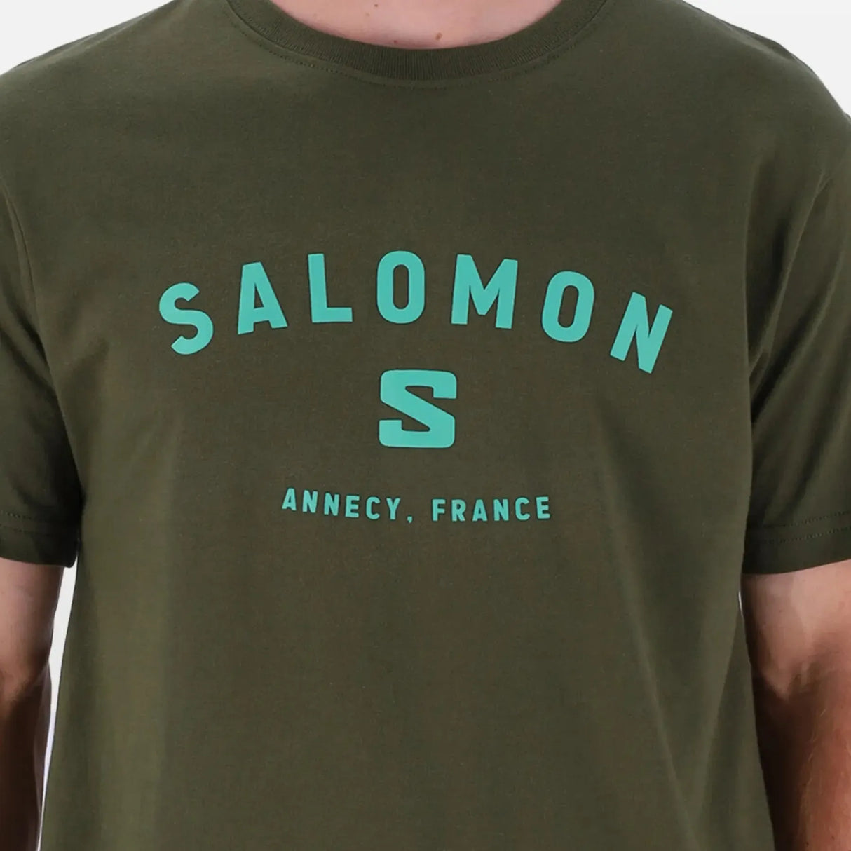 Salomon Alpine T-Shirt