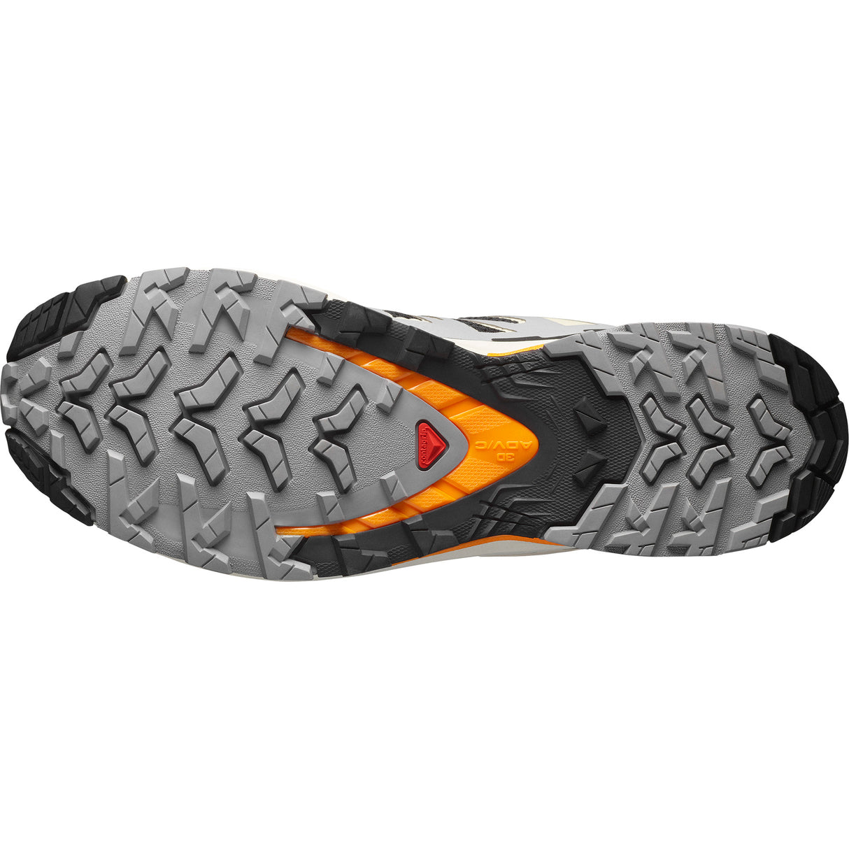 Salomon XA Pro 3D V9