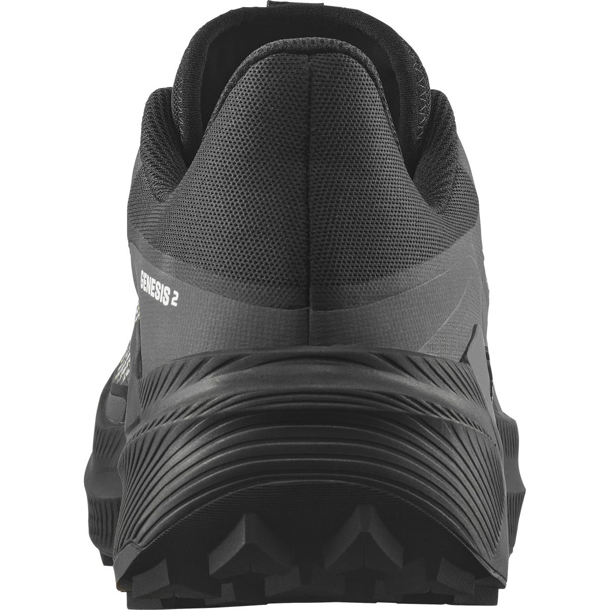 Salomon Genesis 2