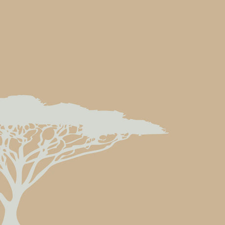 Khaki Friday: Buy 2 T-shirts for R499