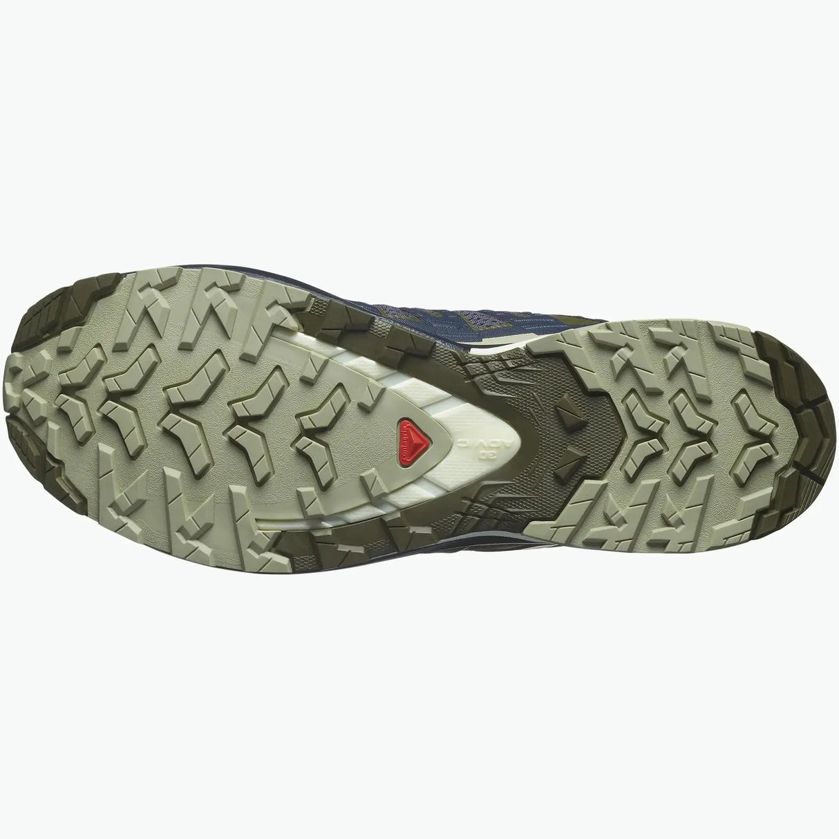Salomon XA Pro 3D V9