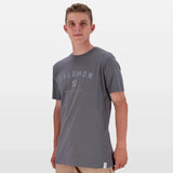 Salomon Alpine T-Shirt