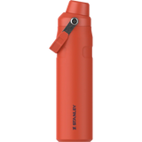 Stanley Aerolight Iceflow Fast Flow Bottle - 0.6L