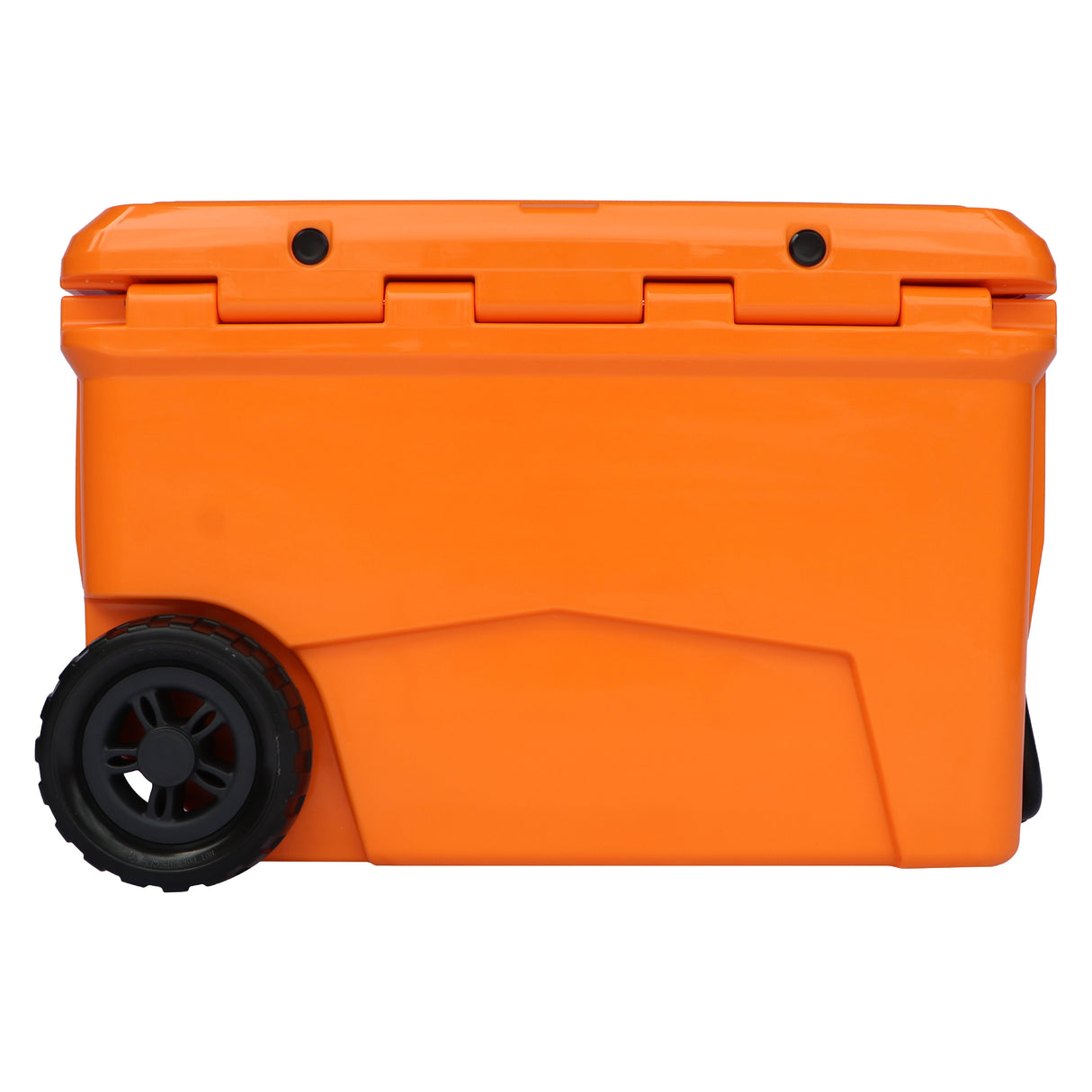 KUGA Africa Edition Cooler Box - 50L