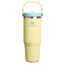 Stanley IceFlow Flip Straw 2.0 Tumbler - 0.89L
