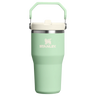 Stanley IceFlow Flip Straw 2.0 Tumbler - 0.6L