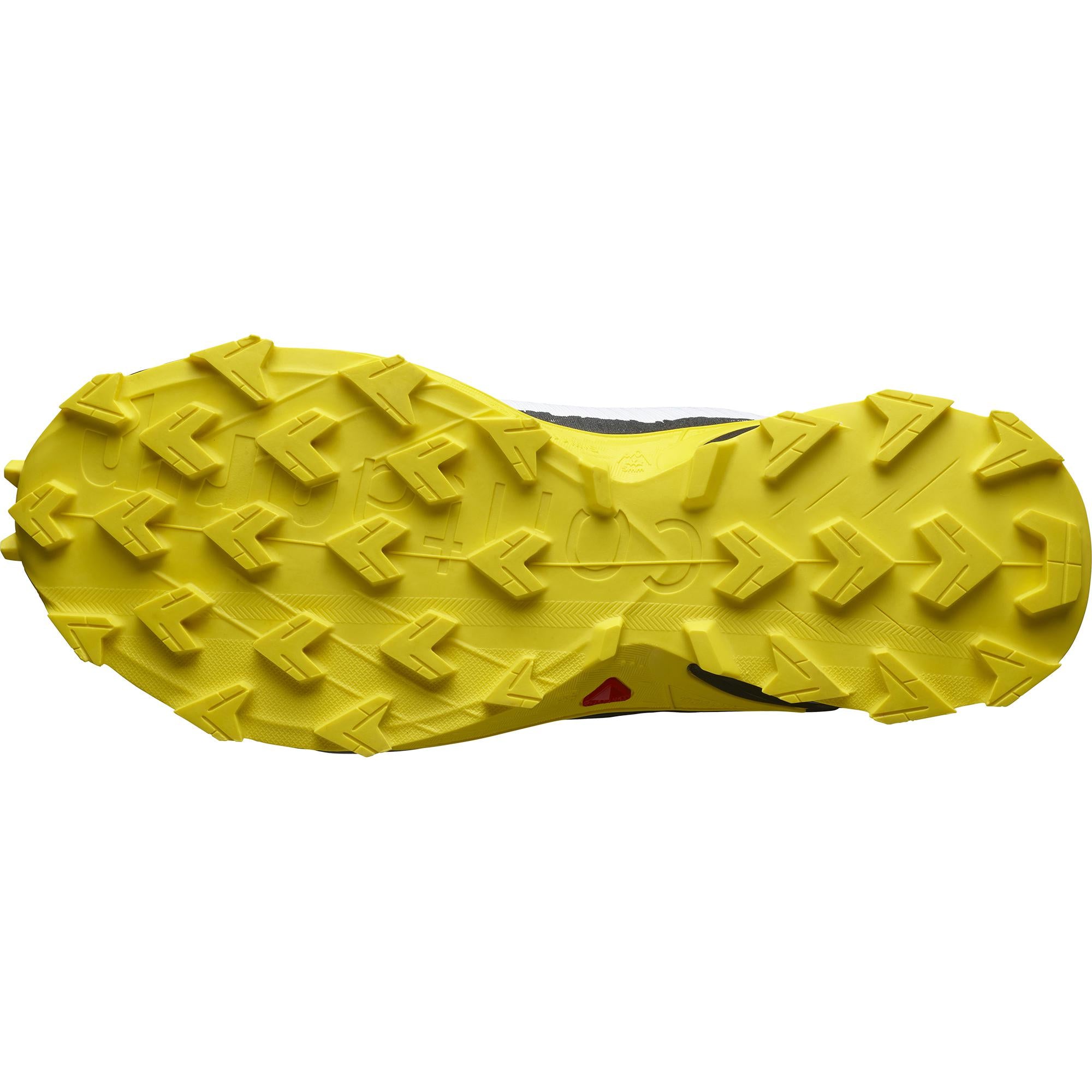 Salomon speedcross vs 2025 alphacross